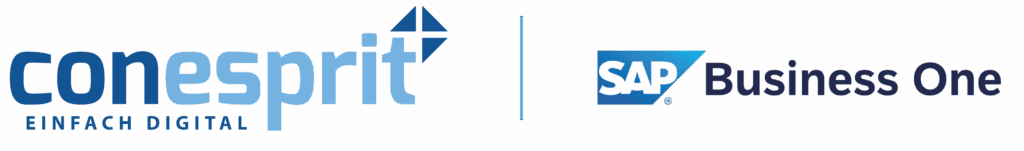 SAP Business One Consulting